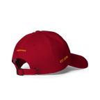 Augmented Ball Cap