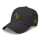 Augmented Ball Cap