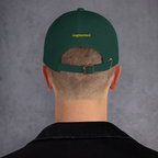 Augmented Ball Cap
