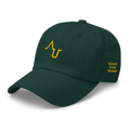 Augmented Ball Cap