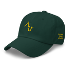 Augmented Ball Cap
