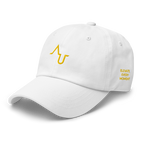 Augmented Ball Cap